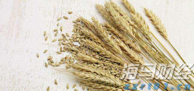 “活”的抗战历史教科书——花都区花东镇狮前村、吉星村