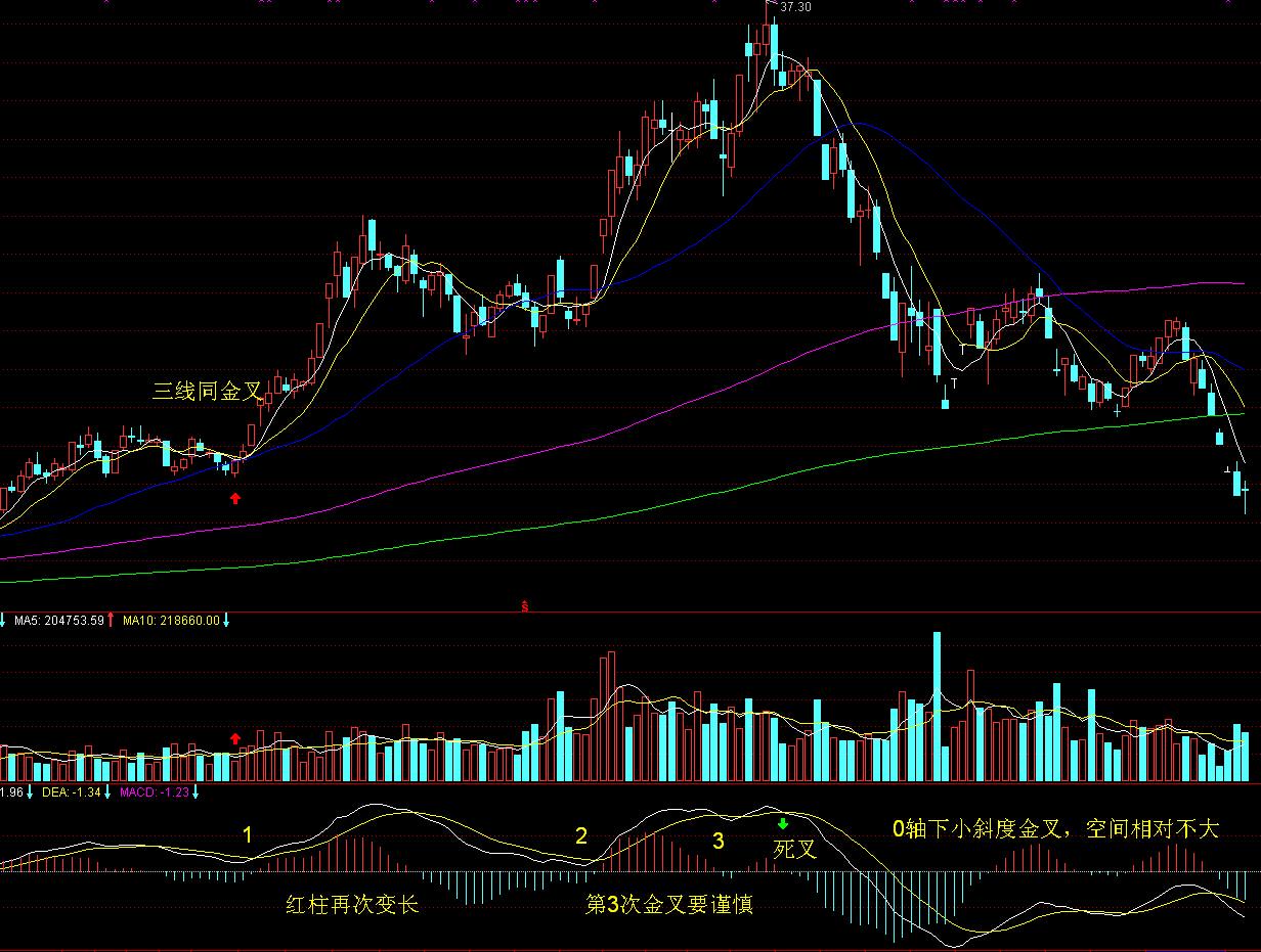 社保不是可缴可不缴，这些关键点你一定要搞懂