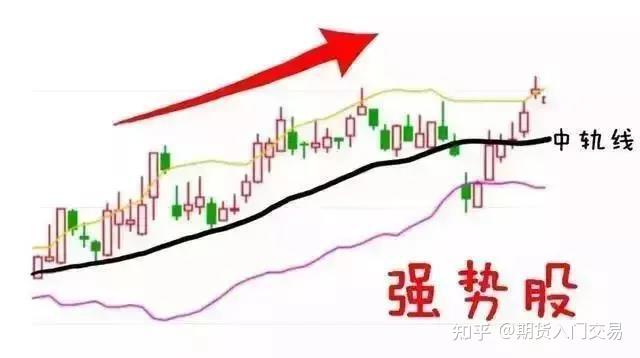 广东出台保护鸟类工作方案 提出全面加强鸟类迁飞通道保护等六大任务