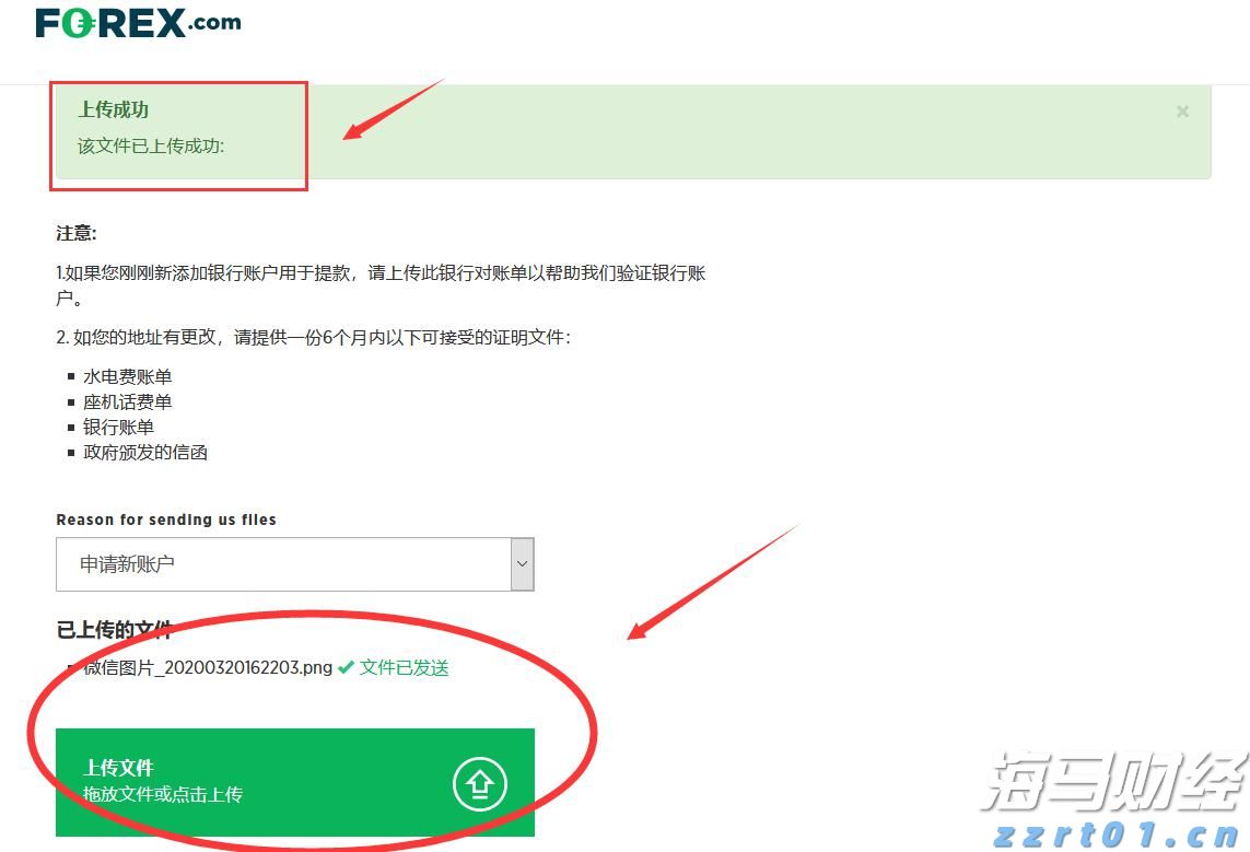 关税休战与盈利前景提升，印度散户创纪录490亿卢比支撑市场